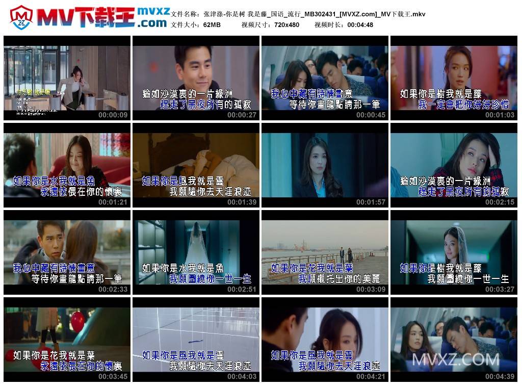 张津涤-你是树 我是藤_国语_流行_MB302431